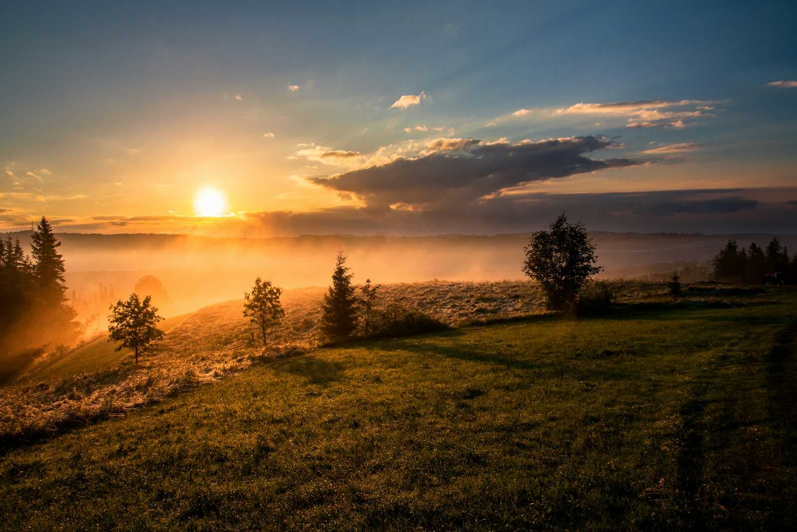 The Virtues of Duha and Tahajud Prayers: Are They Almost Obligatory?