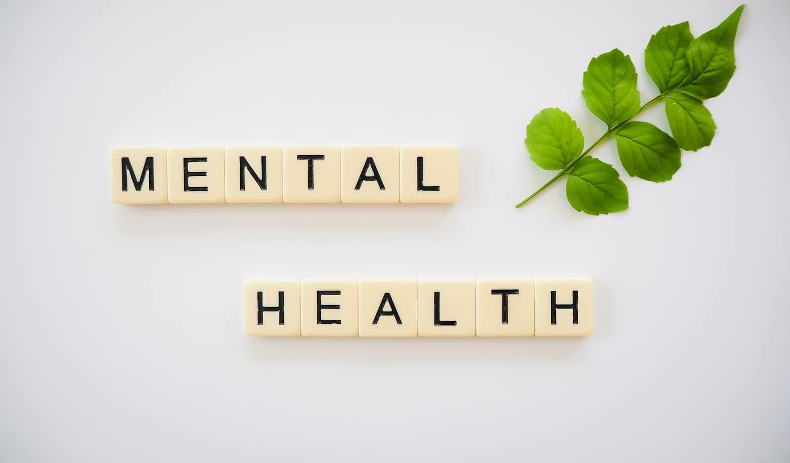 Mental Kaya: Jalan Sunyi Menuju Hidup yang Tenang, Bermartabat, dan Berkelimpahan