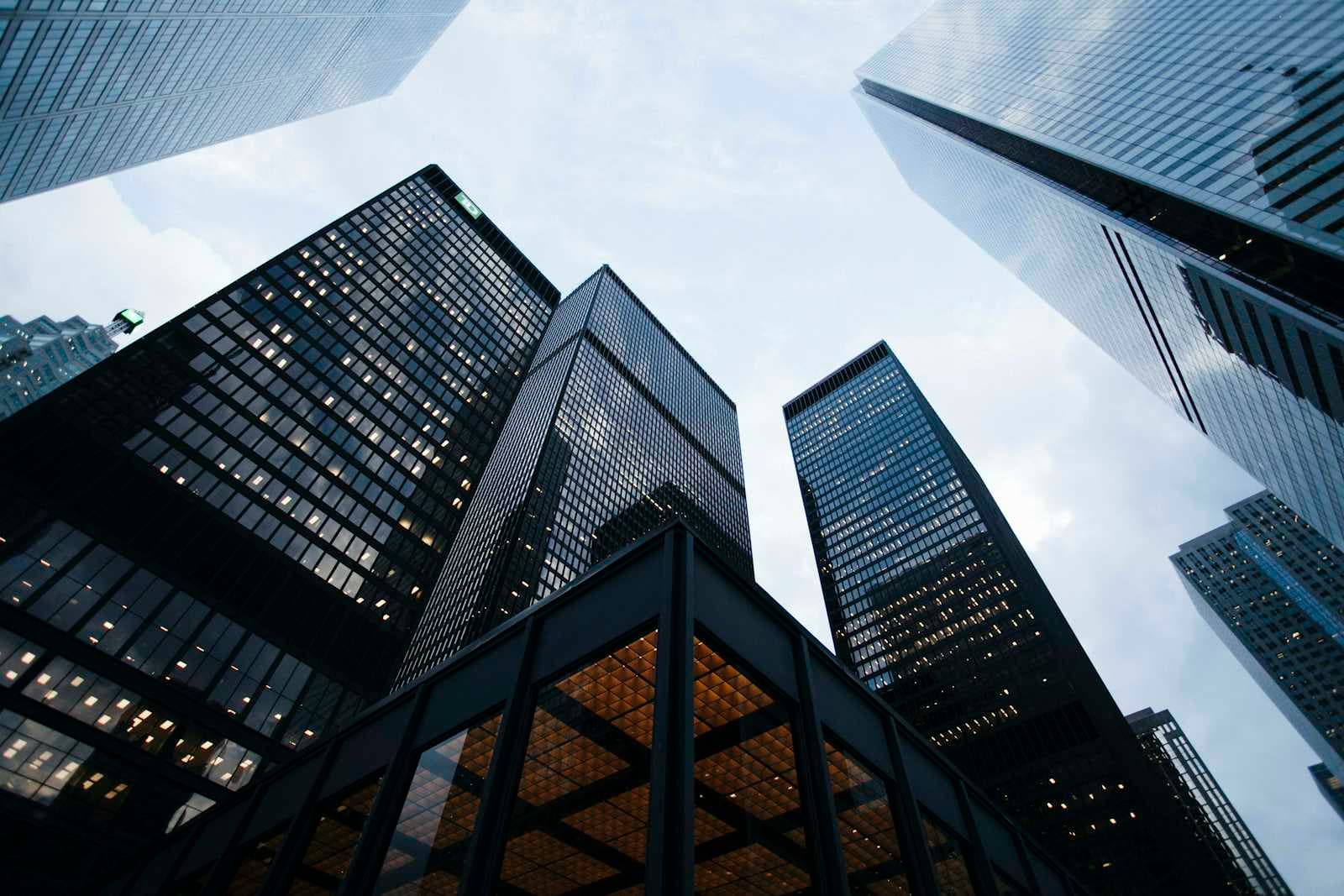 Blitzscaling: Strategi "Gila" Membangun Bisnis Raksasa dalam Sekejap Mata