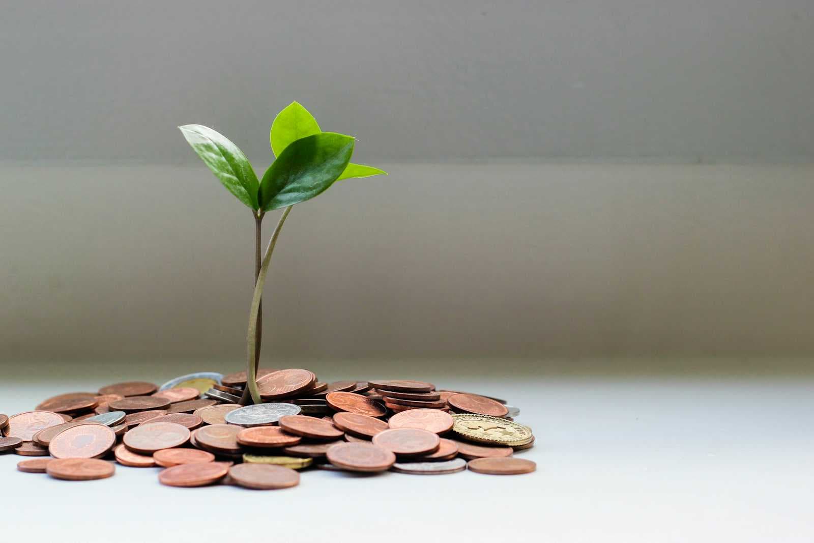 Mengubah Cara Pandang tentang Uang: Refleksi dari The Psychology of Money